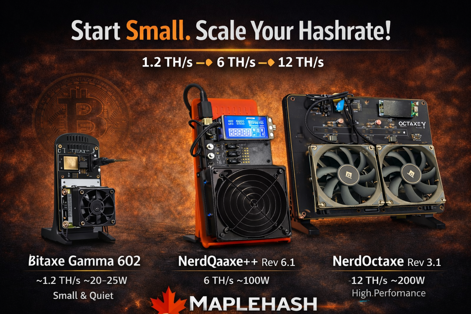 Home Bitcoin solo mining progression showing how miners scale from small ASIC miners with MapleHash